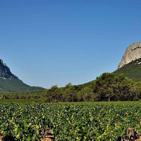 Gite Du Pic Saint Loup Valflaunes 외부 사진