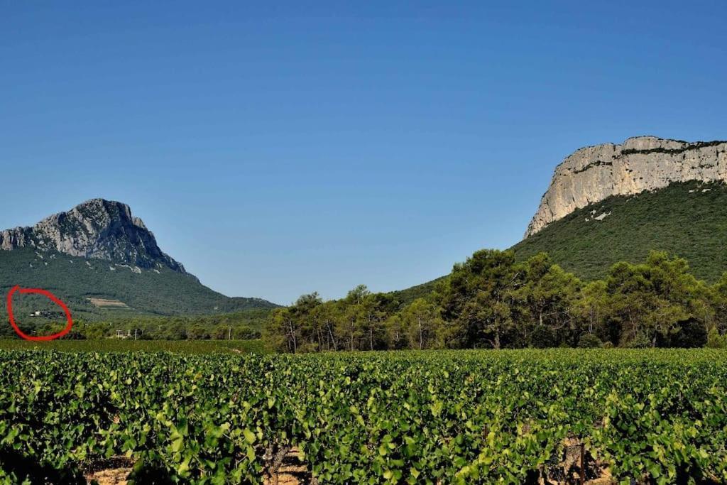 Gite Du Pic Saint Loup Valflaunes 외부 사진
